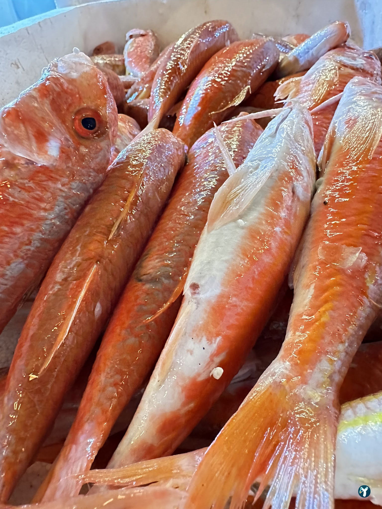 Hayati Chef Balık Restaurant