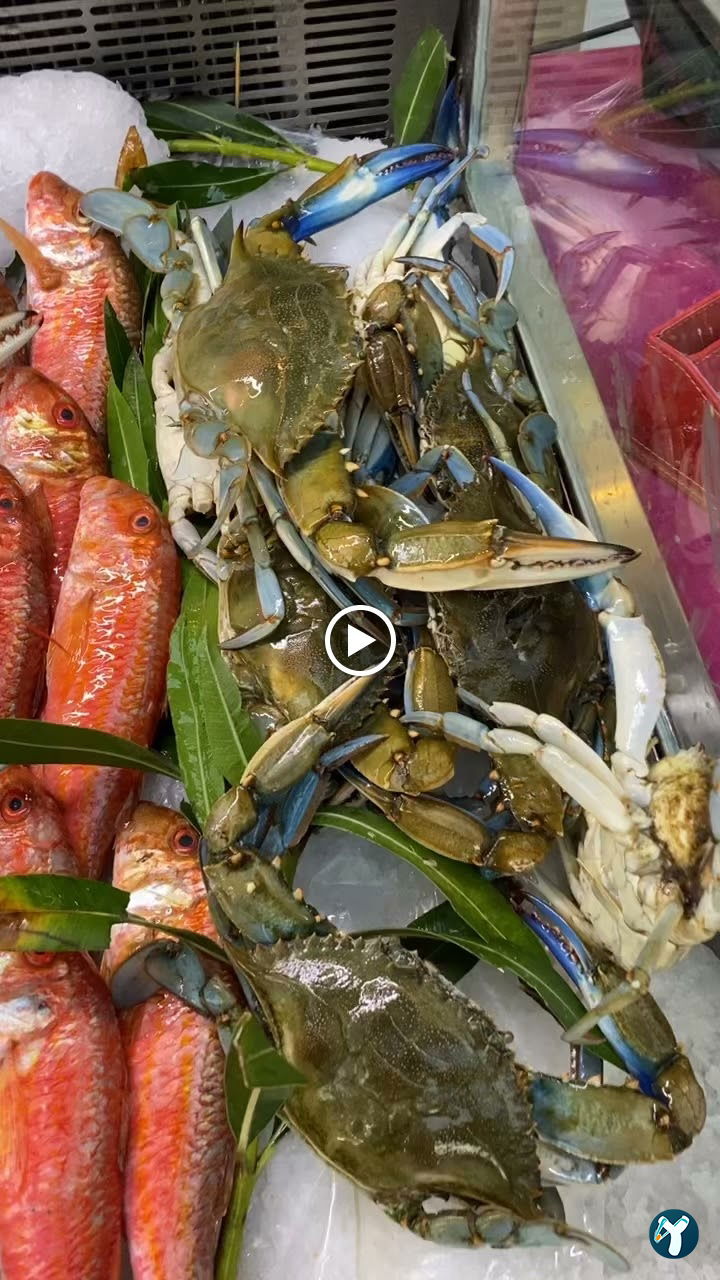 Hayati Chef Balık Restaurant