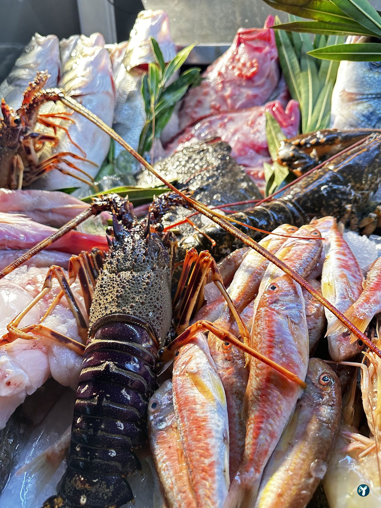 Hayati Chef Balık Restaurant