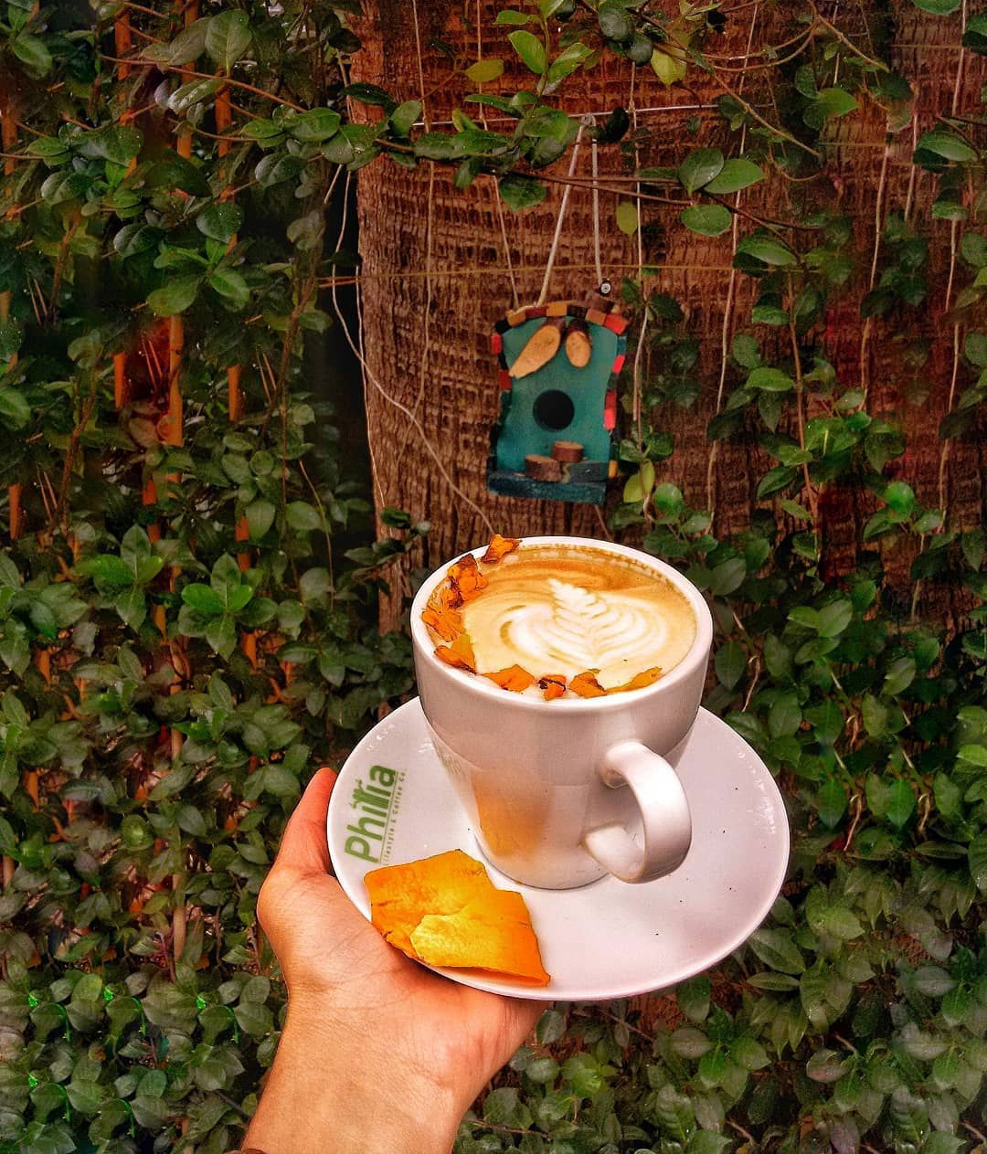 Philia Lifestyle & Coffee Co.