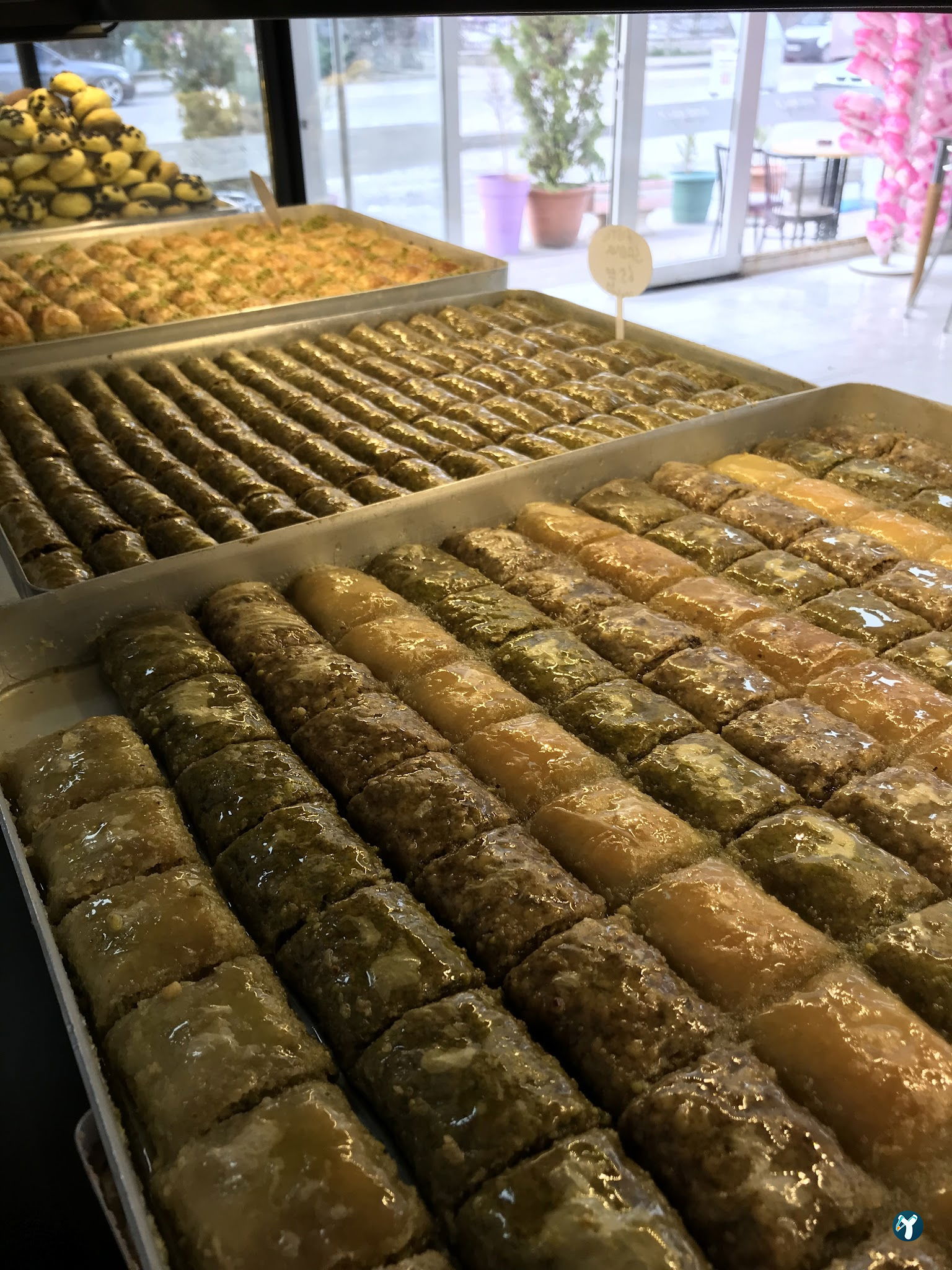 Açelya Pastanesi