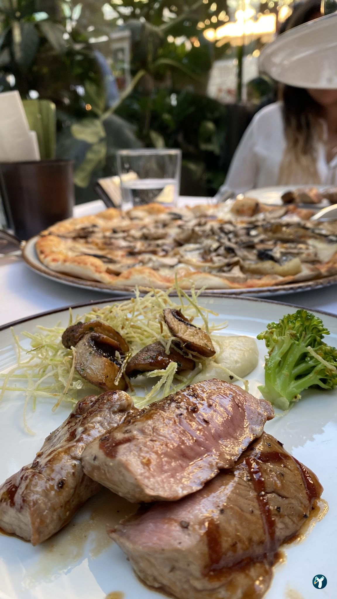 Gizia Brasserie Fi̇şekhane