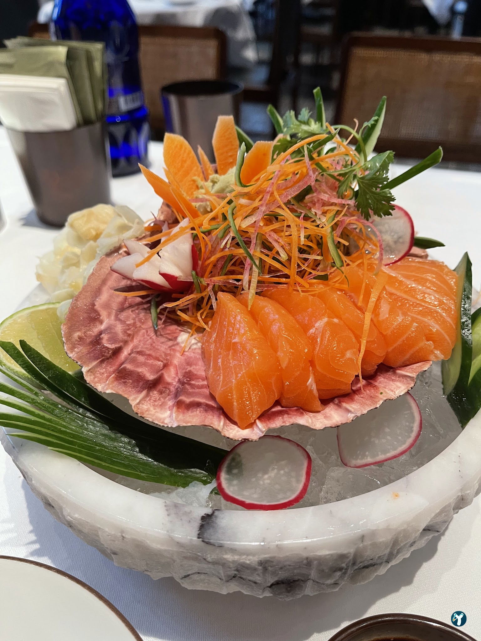 Gizia Brasserie Fi̇şekhane