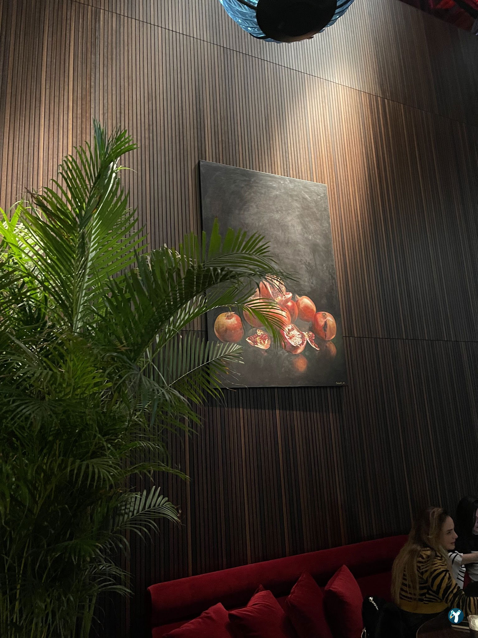 Gizia Brasserie Fi̇şekhane