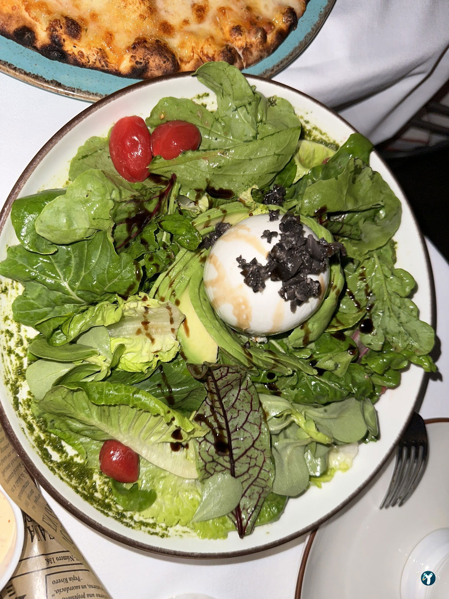 Gizia Brasserie Fi̇şekhane