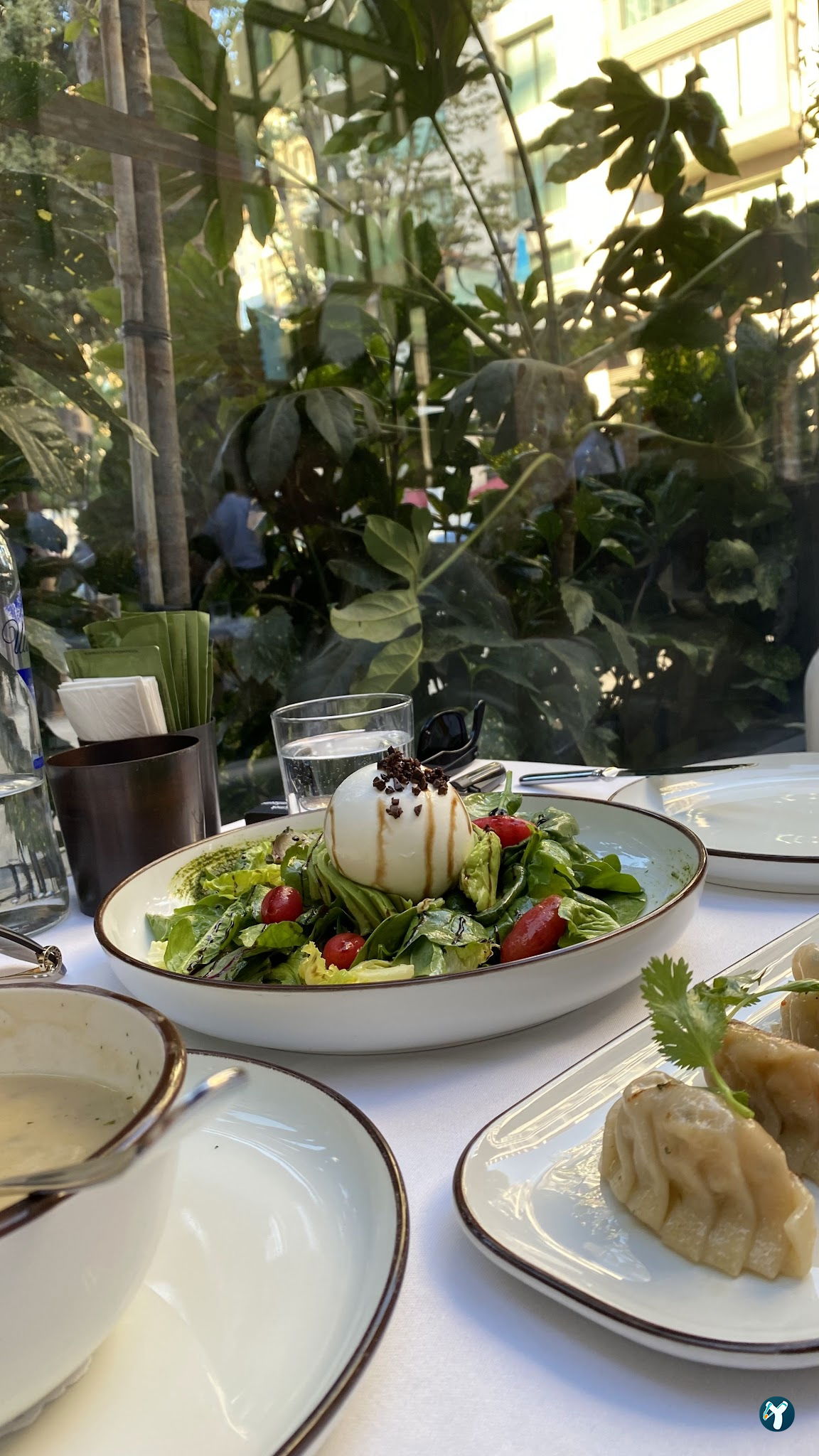 Gizia Brasserie Fi̇şekhane