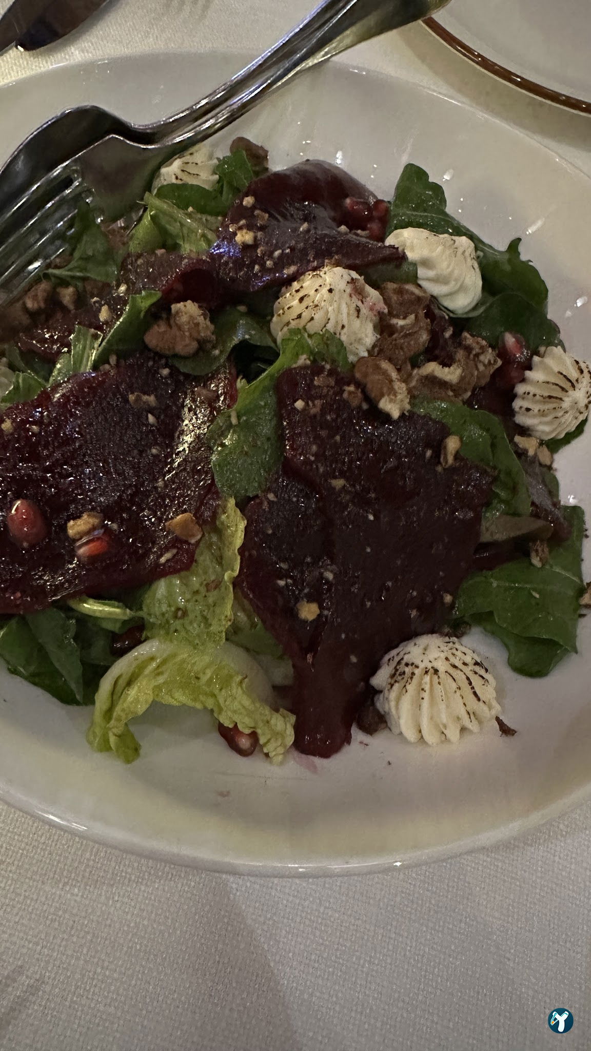 Gizia Brasserie Fi̇şekhane