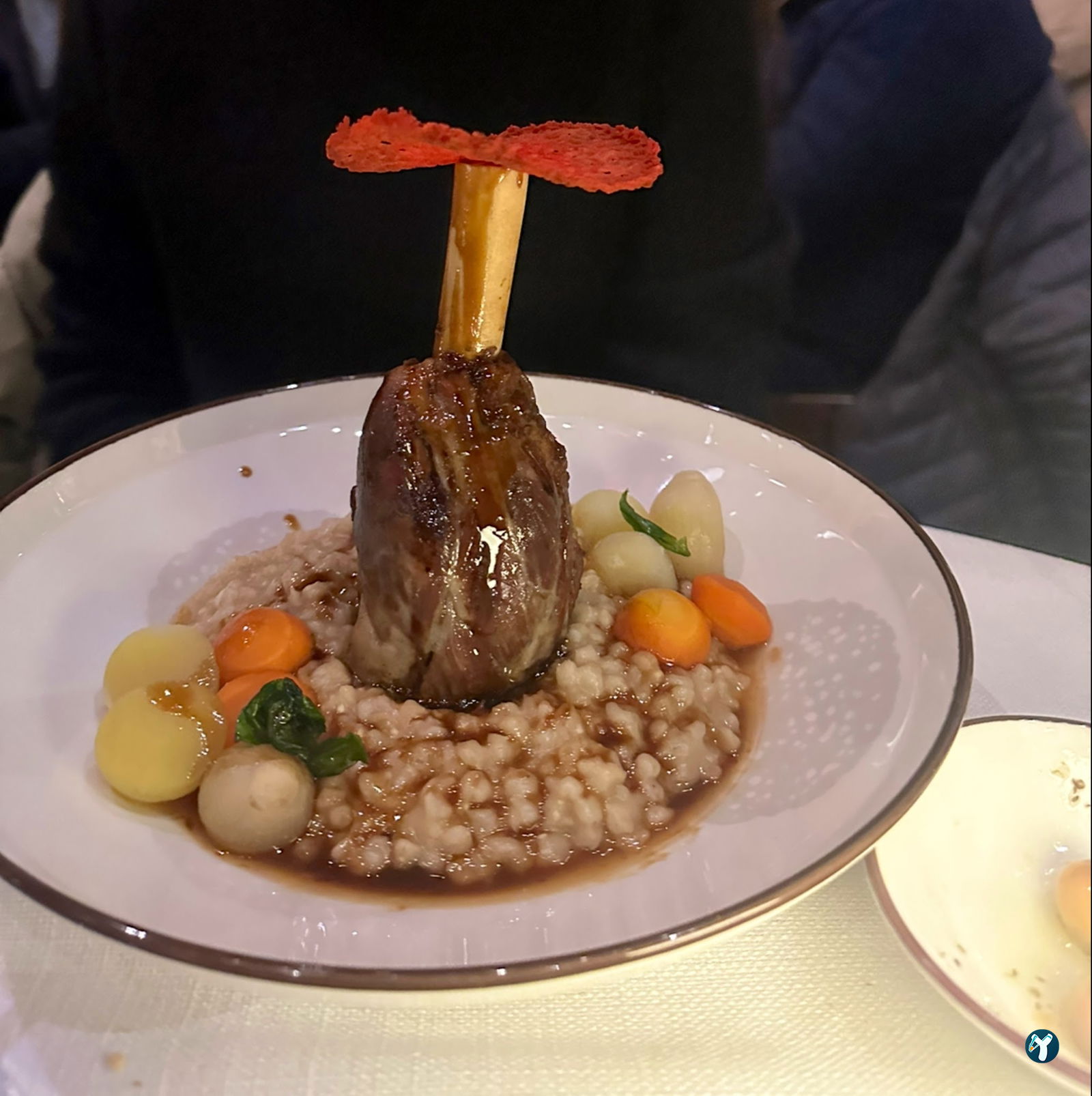 Gizia Brasserie Fi̇şekhane