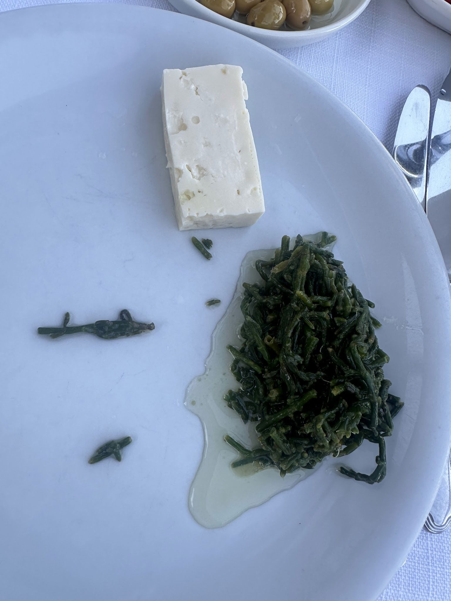 Arnavutköy Balıkçısı Yeniköy