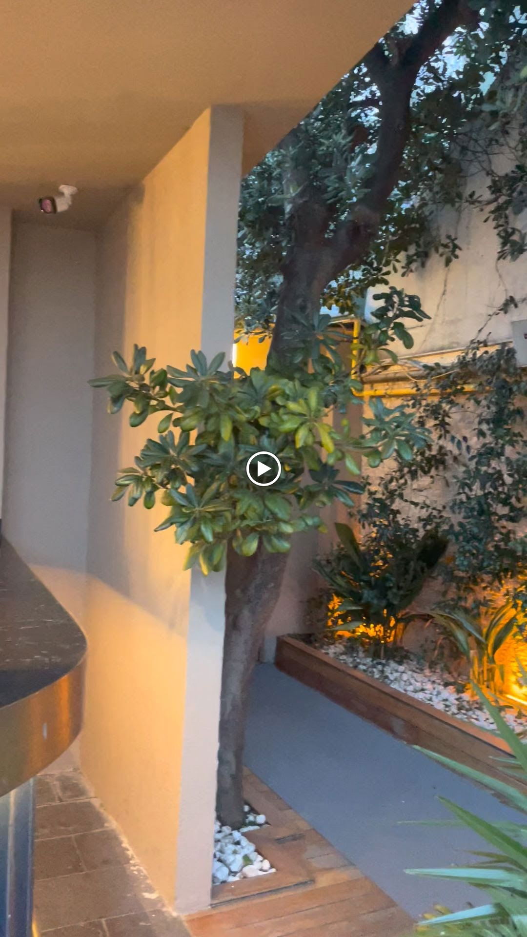 Arnavutköy Balıkçısı Yeniköy