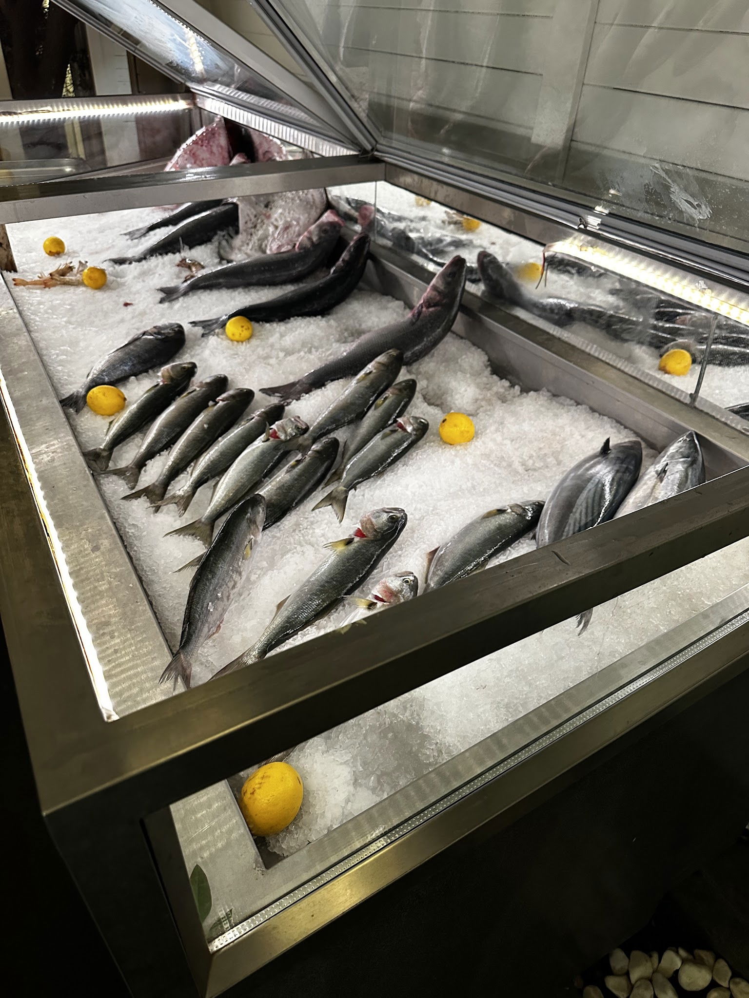 Arnavutköy Balıkçısı Yeniköy