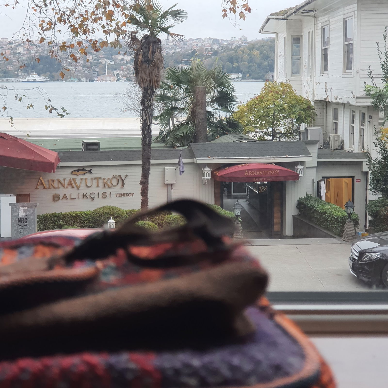 Arnavutköy Balıkçısı Yeniköy