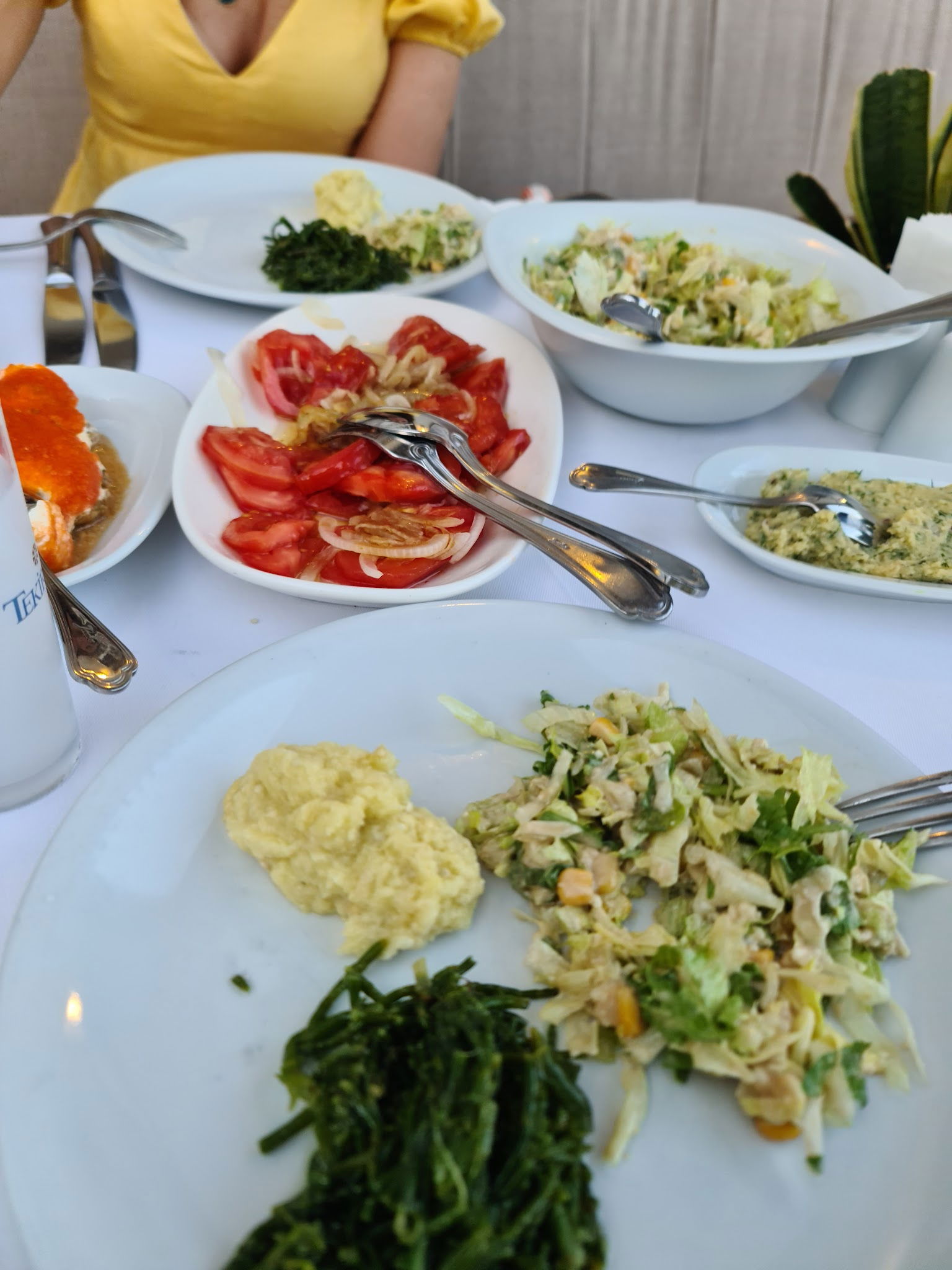 Arnavutköy Balıkçısı Yeniköy