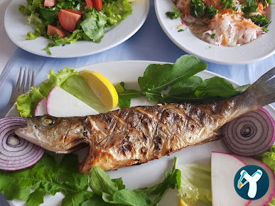 Markabahçe Restaurant