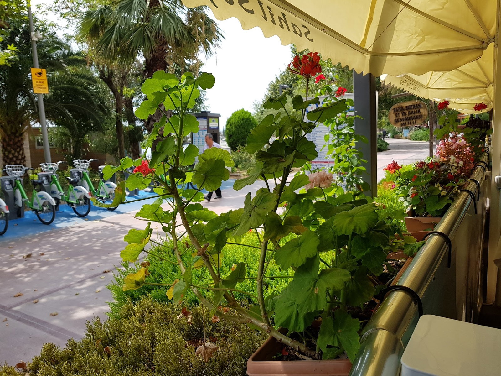 Sahil Restaurant Eskihisar