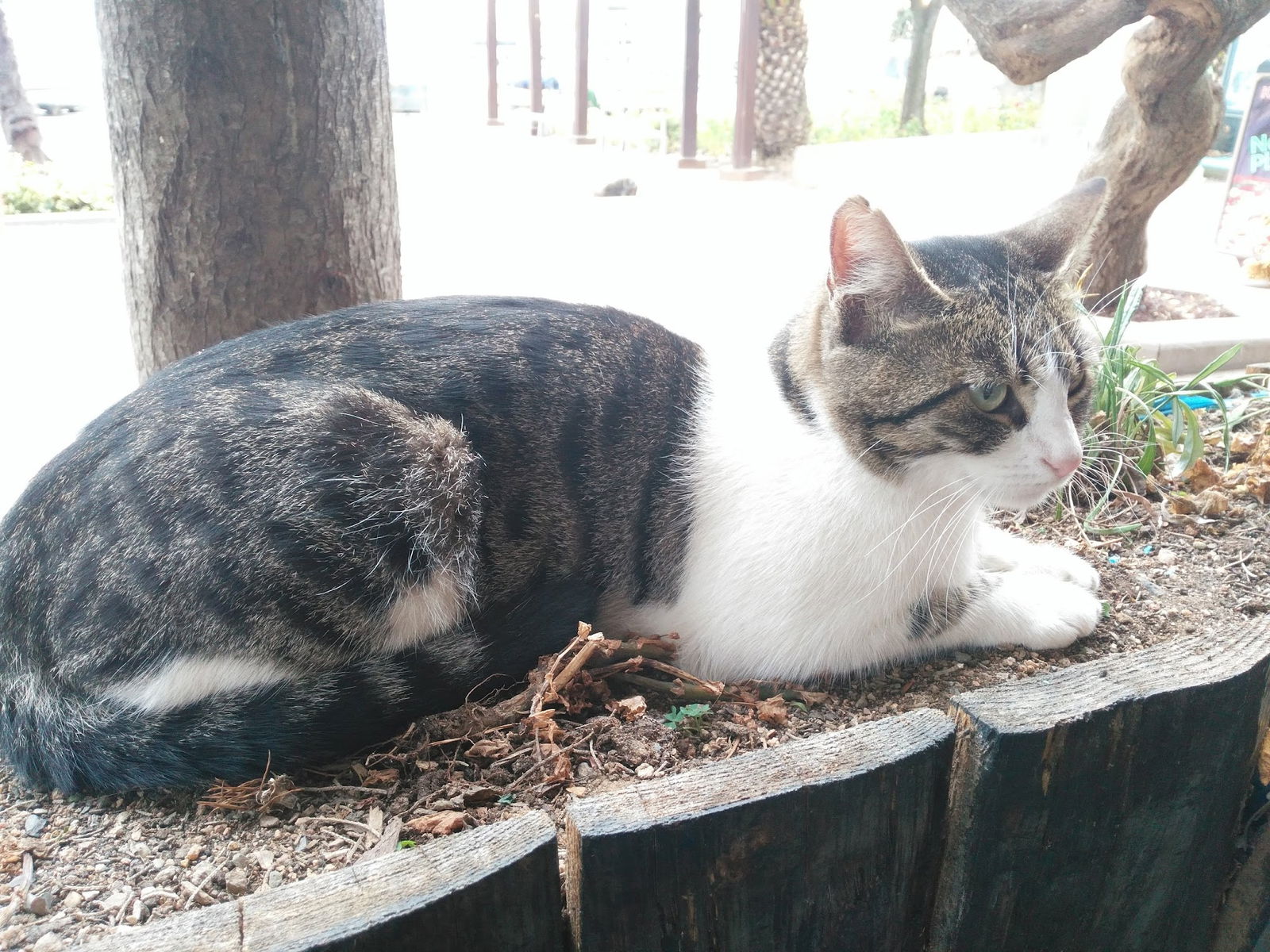 Sahil Restaurant Eskihisar