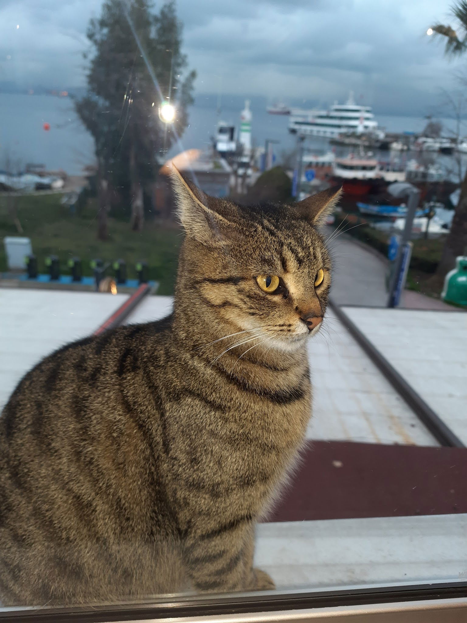 Sahil Restaurant Eskihisar