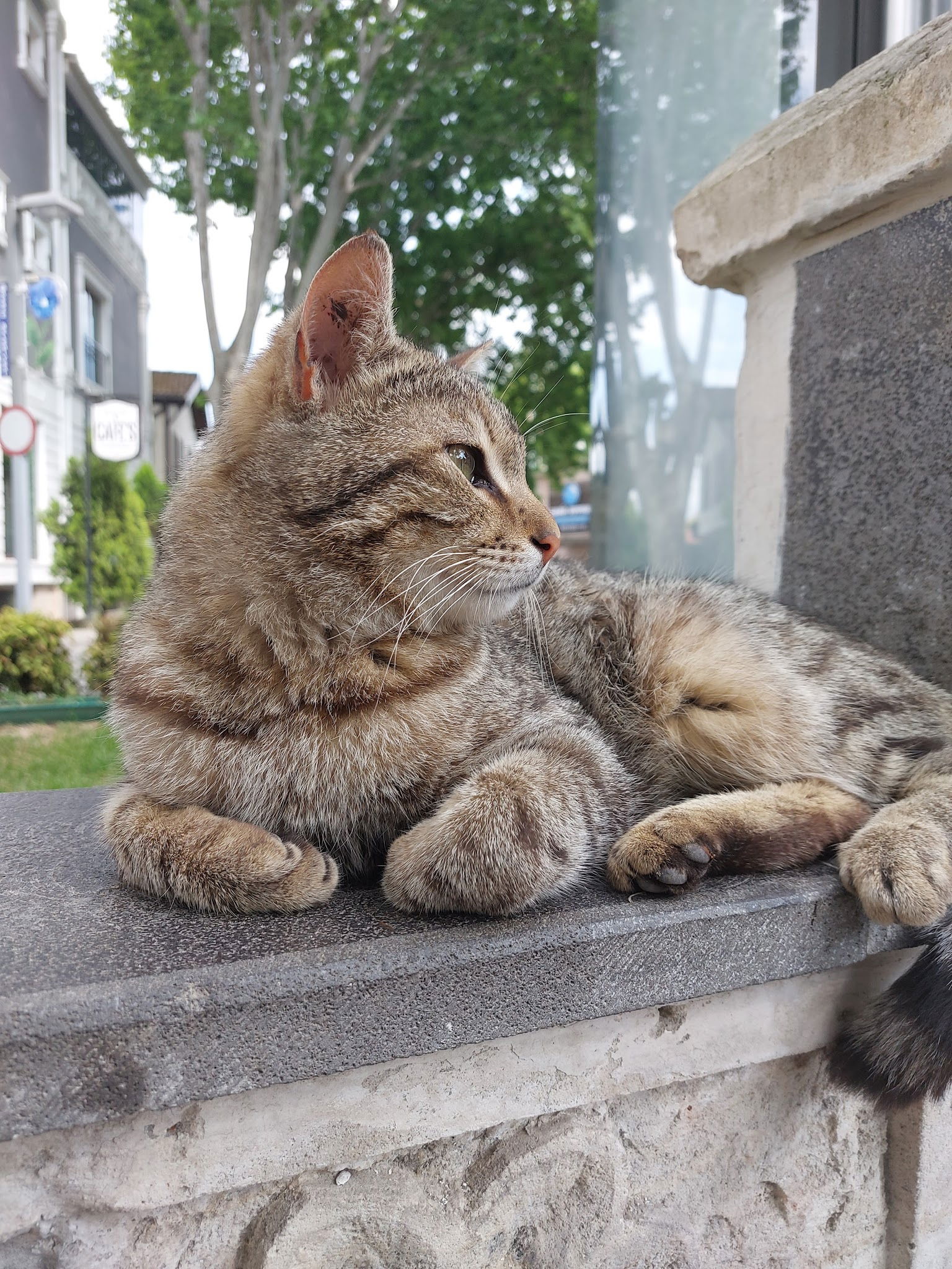 Sahil Restaurant Eskihisar