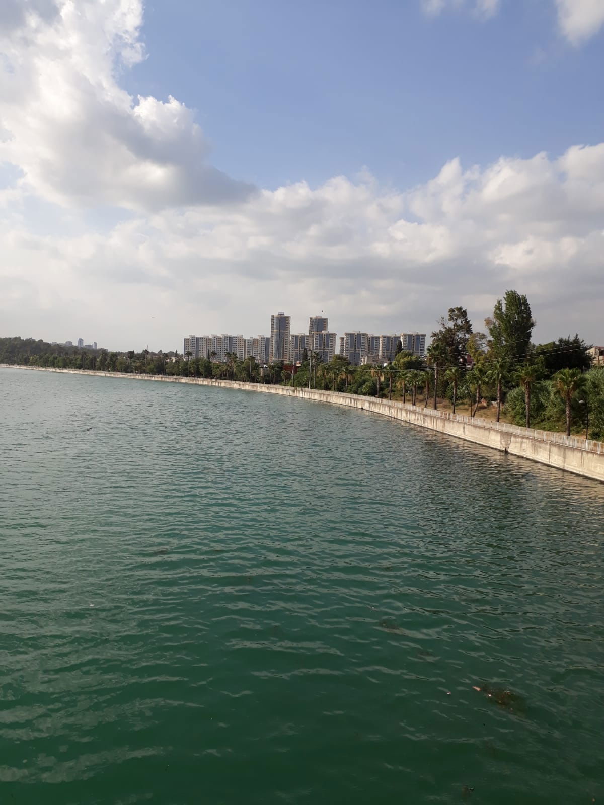 01 New Friends Kebab