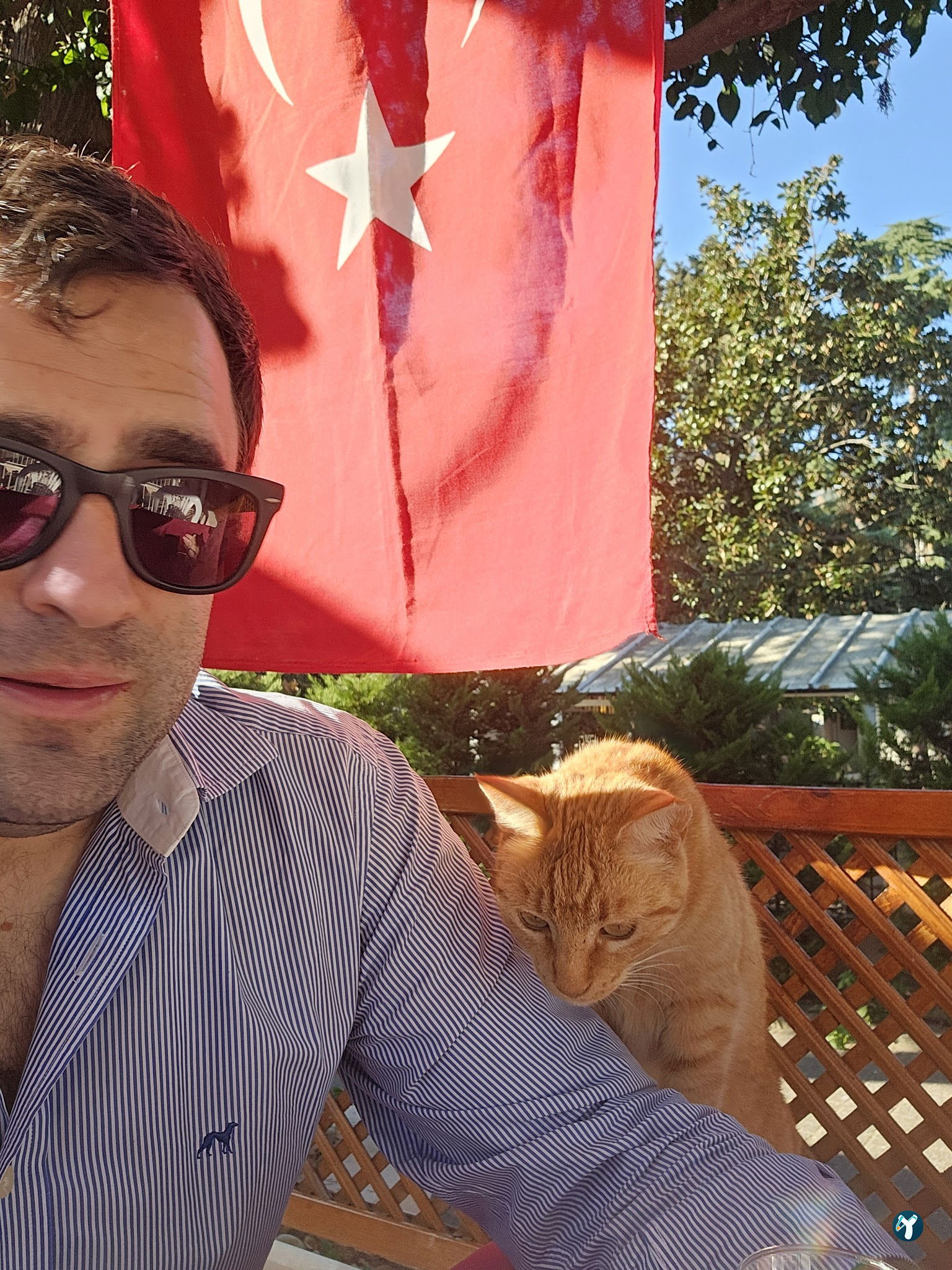 Yeni İdeal Restoran
