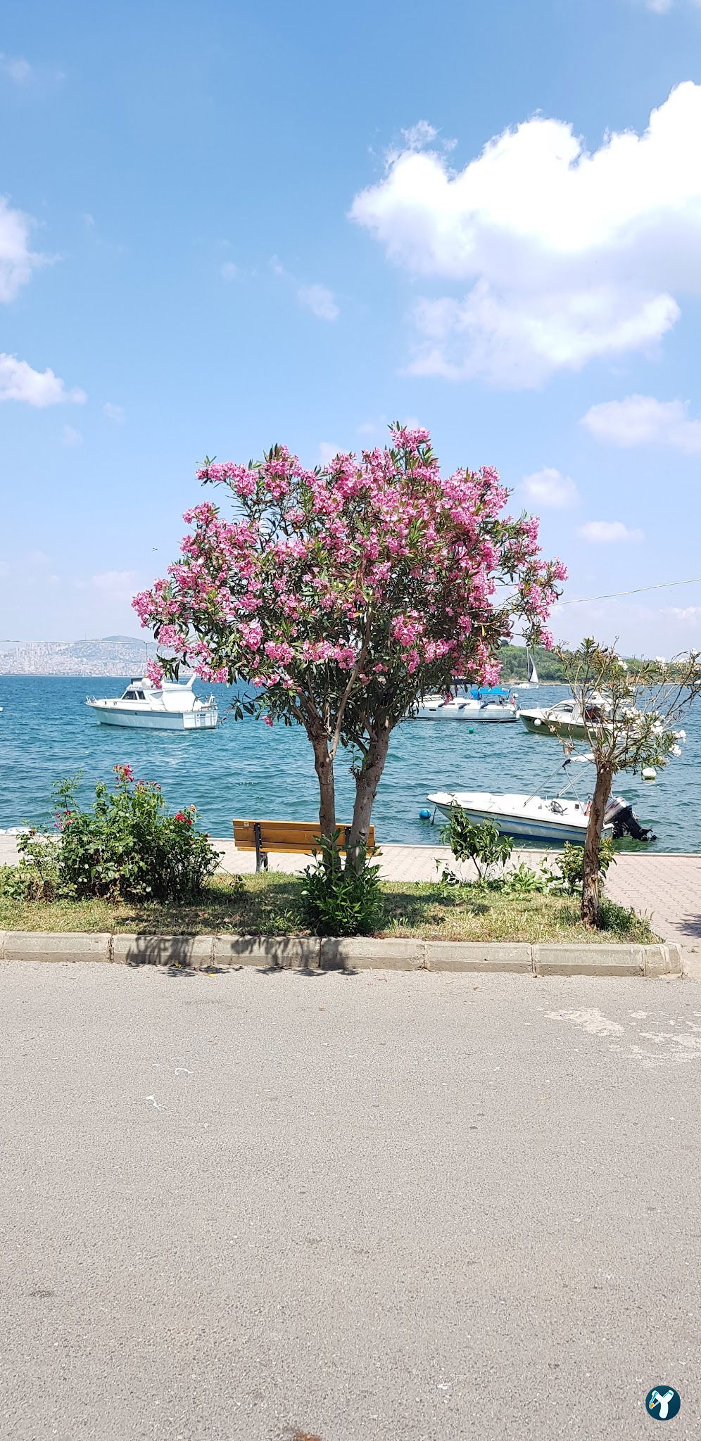 Yeni İdeal Restoran