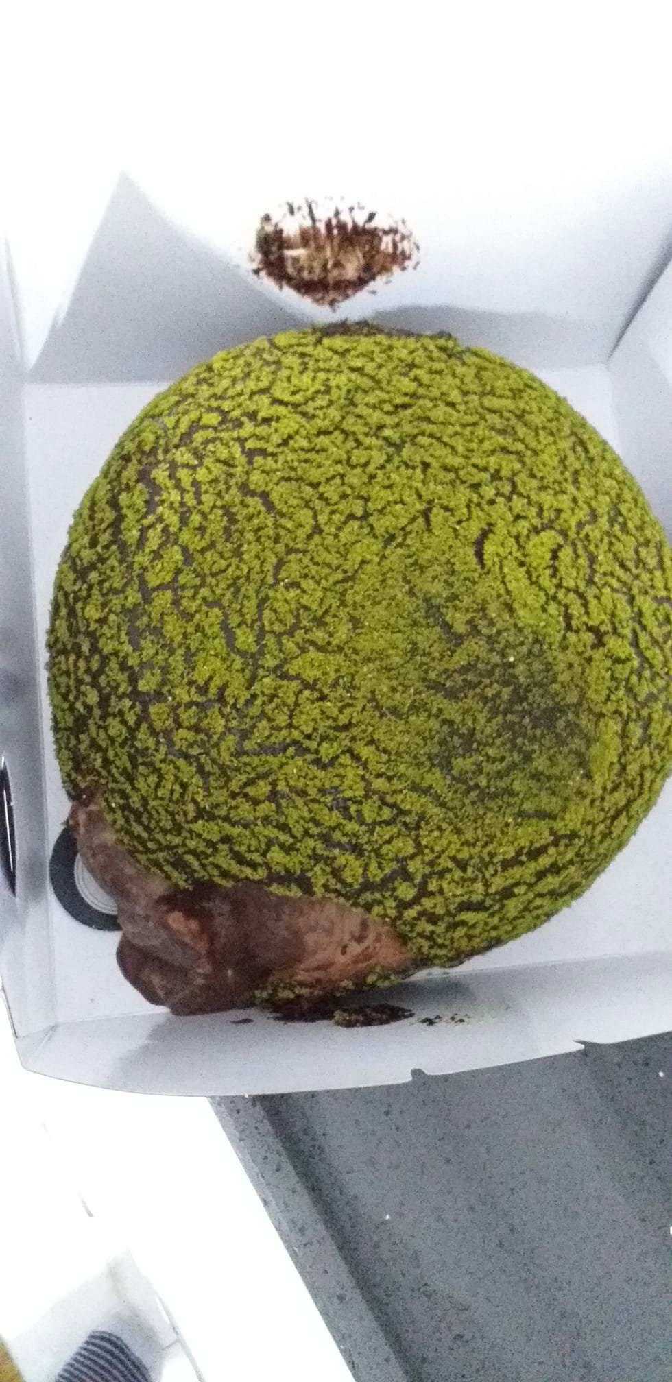 Kukisacıbadem