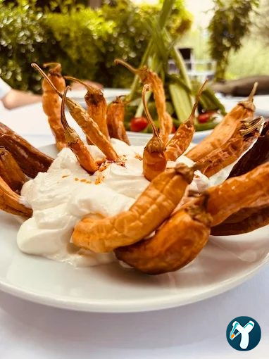 Garson Şükrü Aile Restaurant