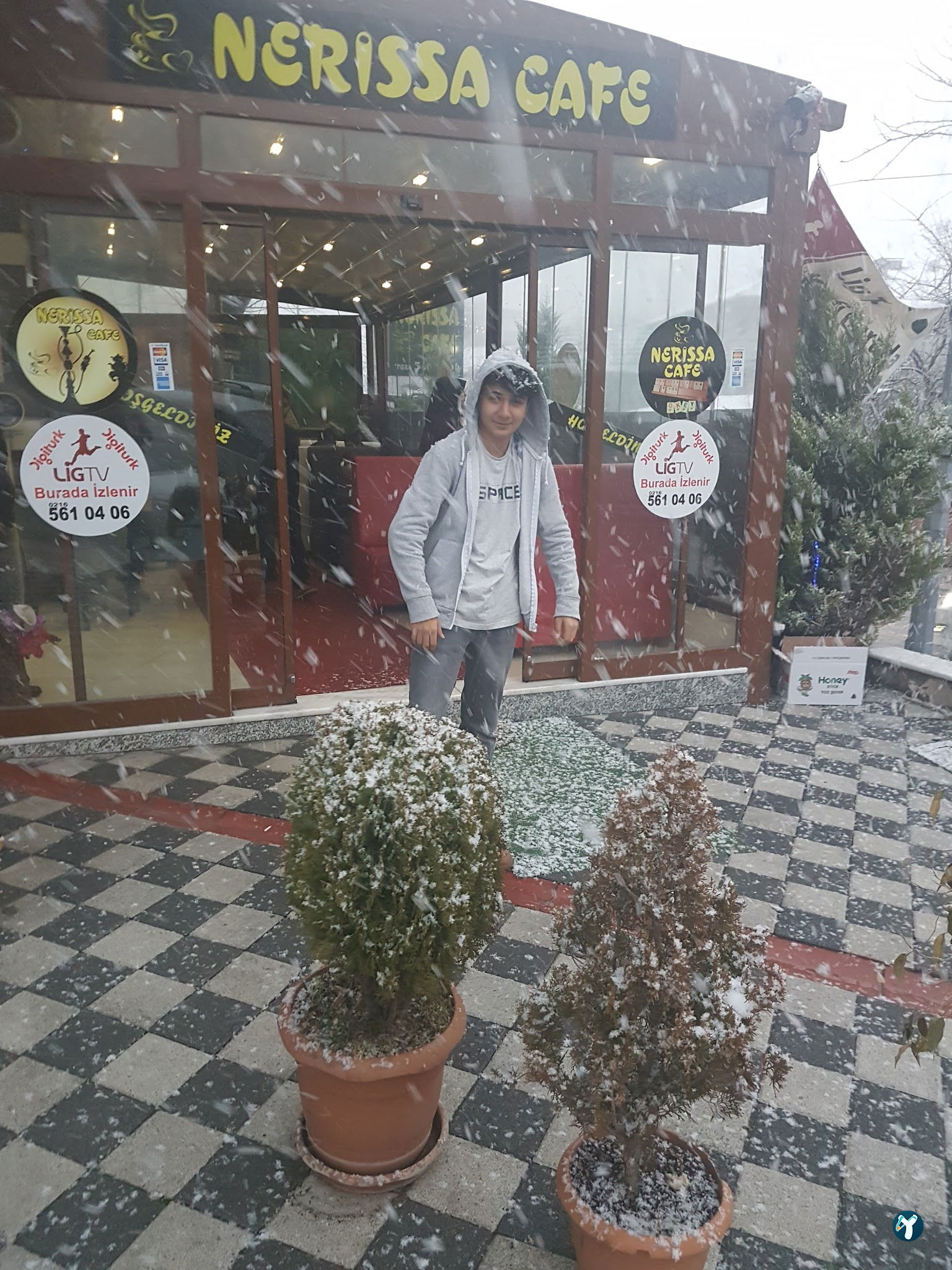 Nerissa Cafe