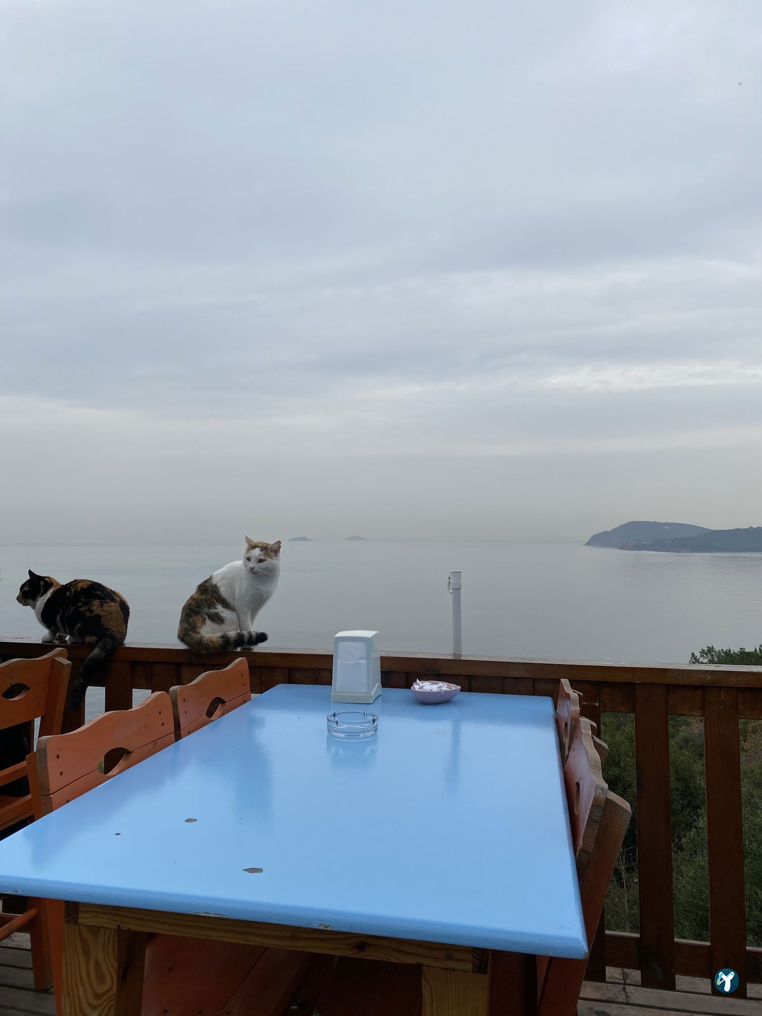 Viranbag Cafe
