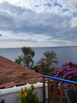 Viranbag Cafe resimleri