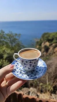 Viranbag Cafe resimleri