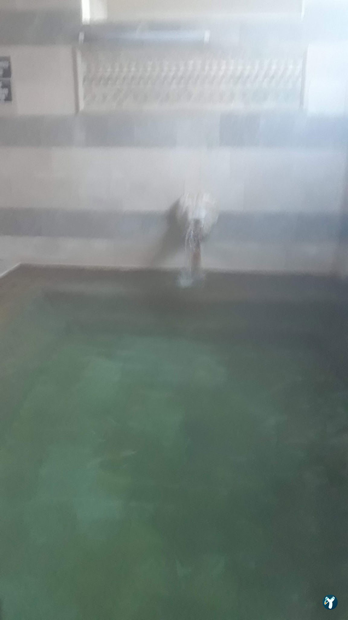 Doktor Saracoğlu Termal Otel - Haymana