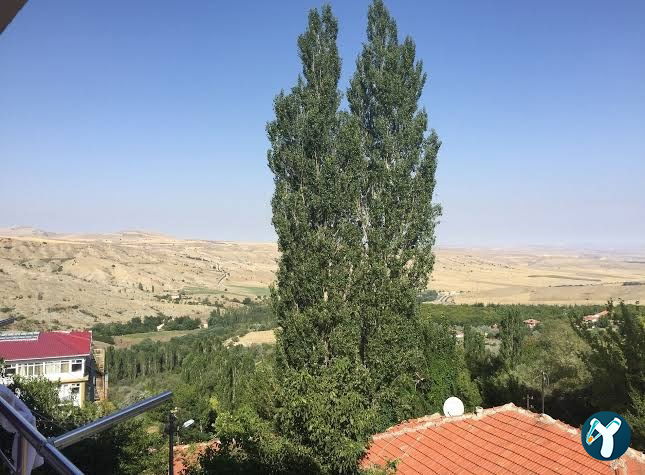 Doktor Saracoğlu Termal Otel - Haymana