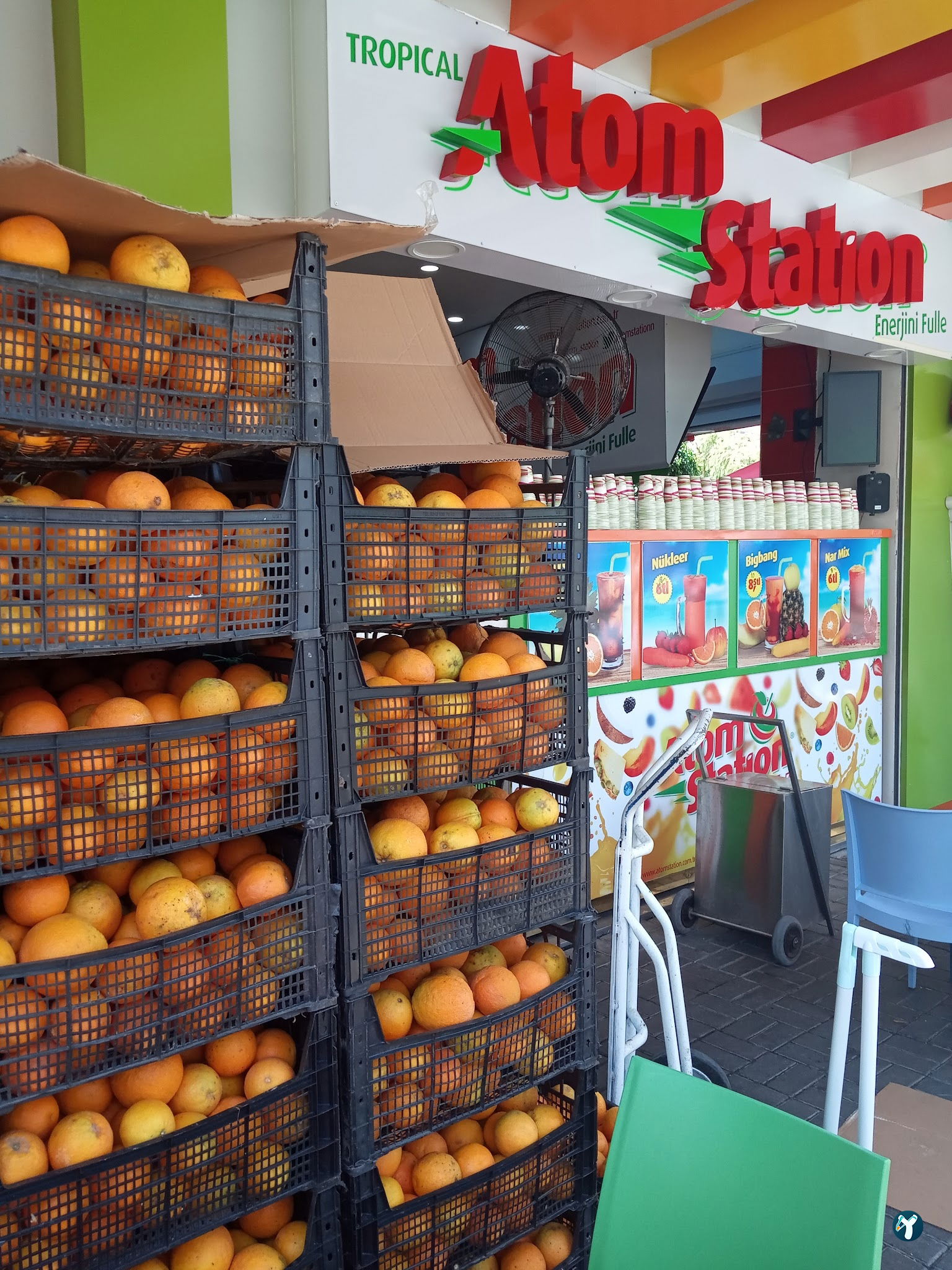Vitamin Tropicana Cafe