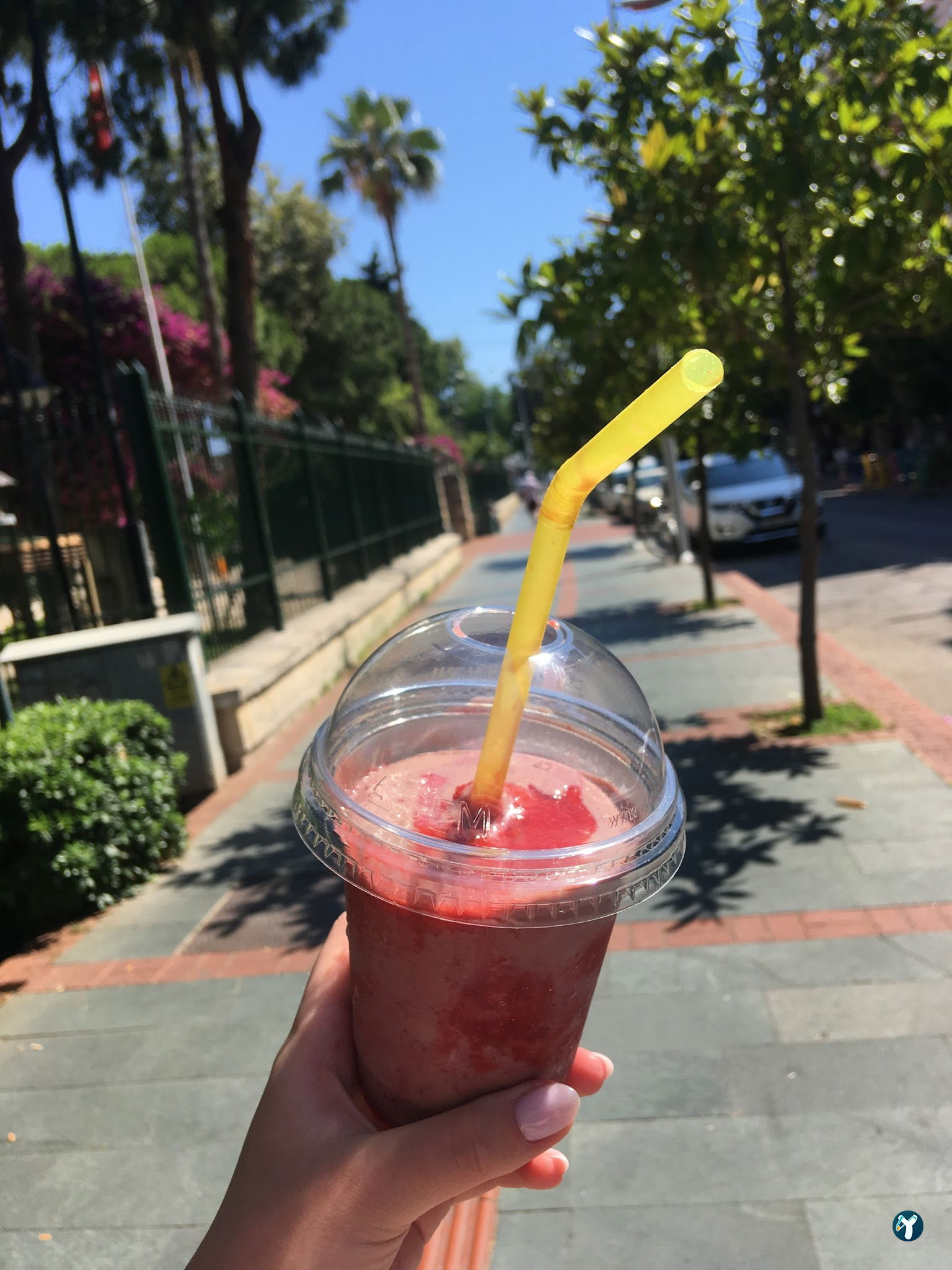 Vitamin Tropicana Cafe