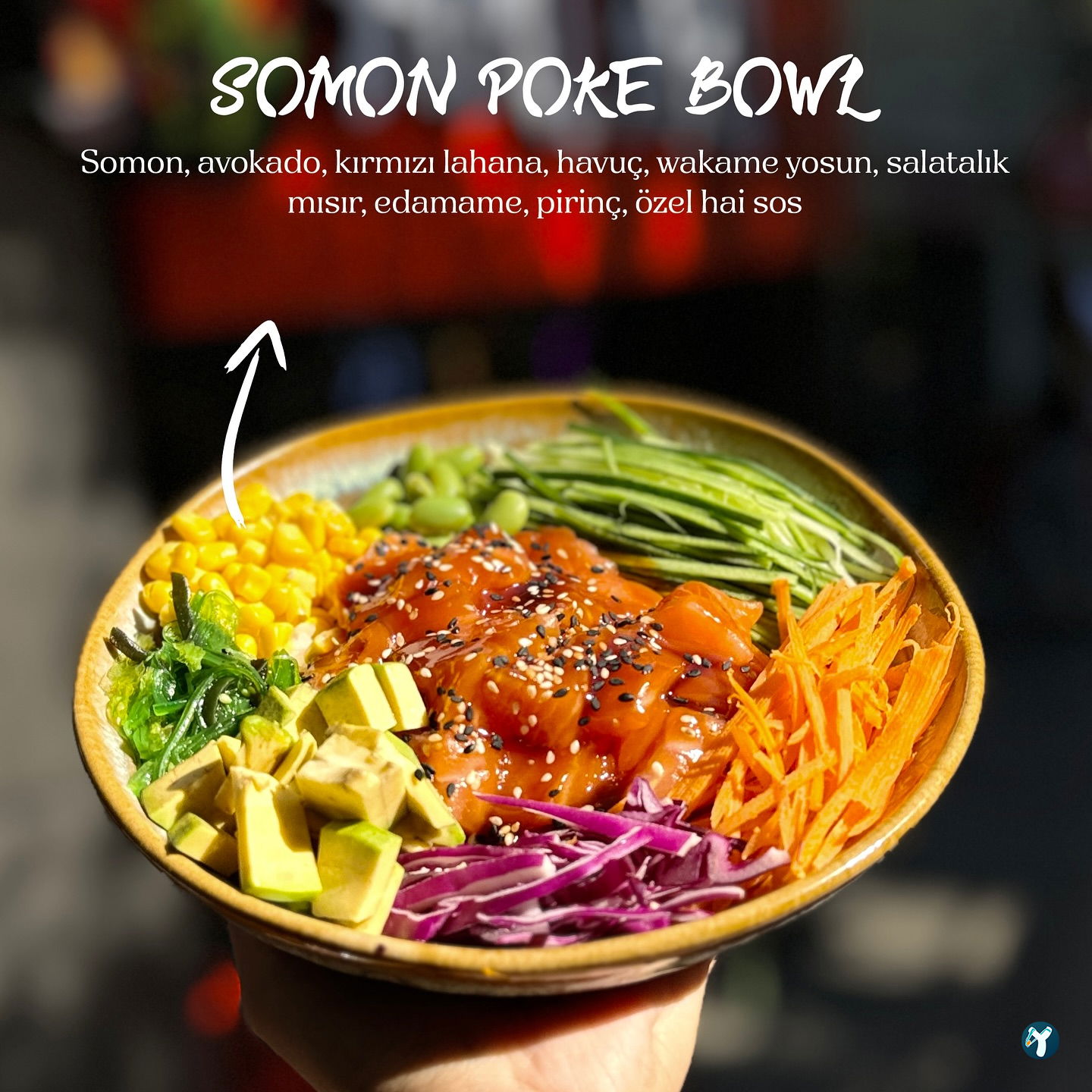 Hai Hai Sushi Bar & Asian Kitchen