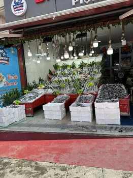 Başkent Balık Mamak resimleri