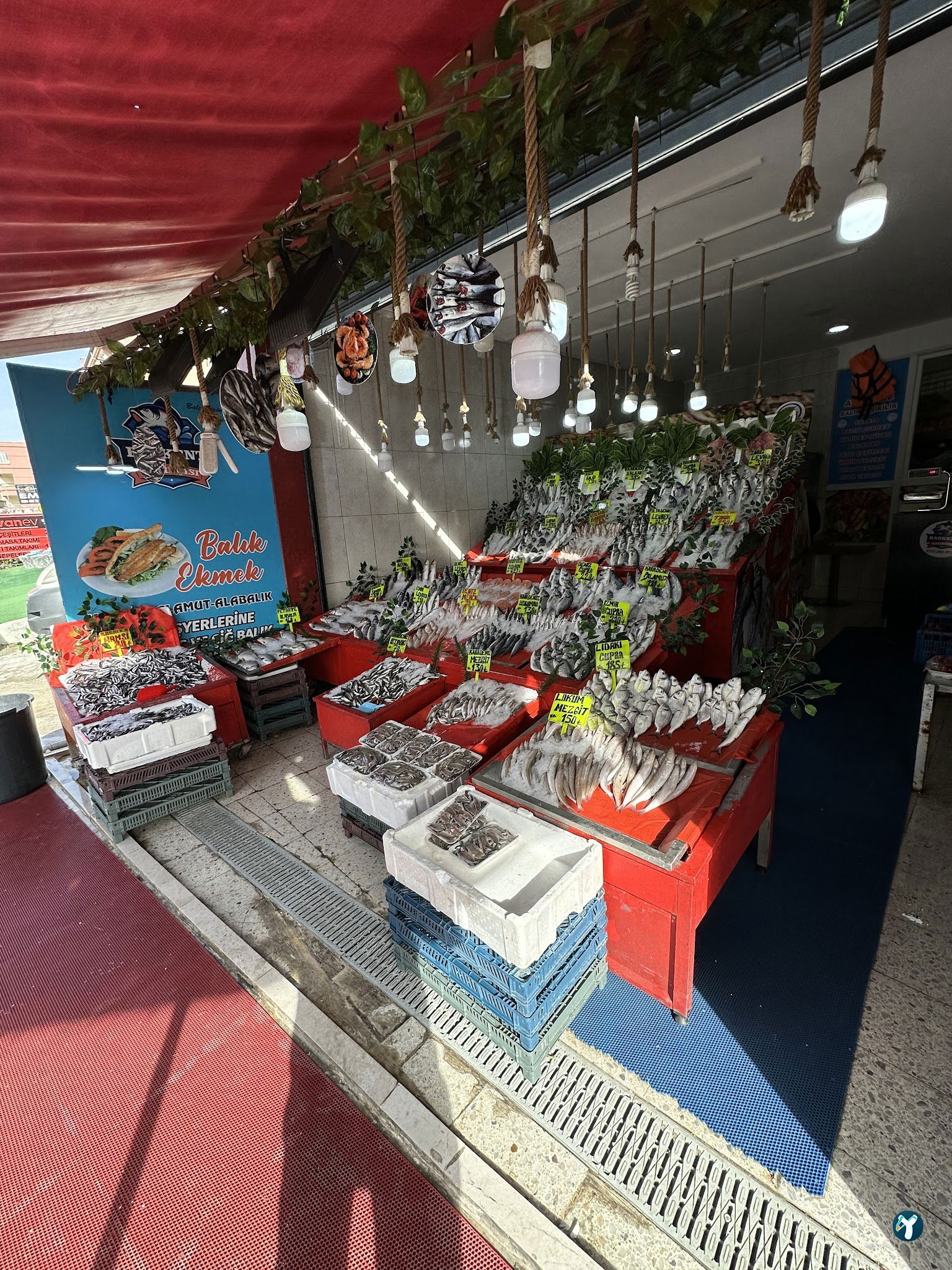 Başkent Balık Mamak