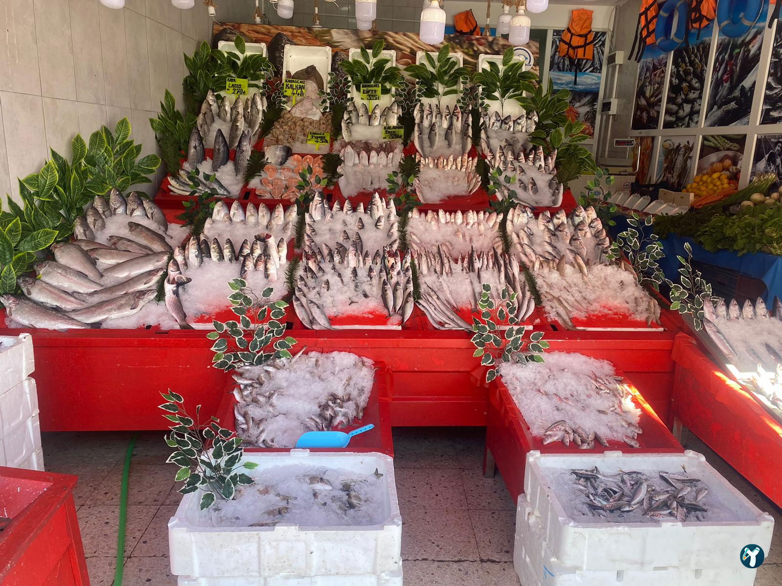 Başkent Balık Mamak
