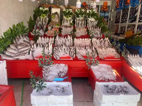 Başkent Balık Mamak resimleri