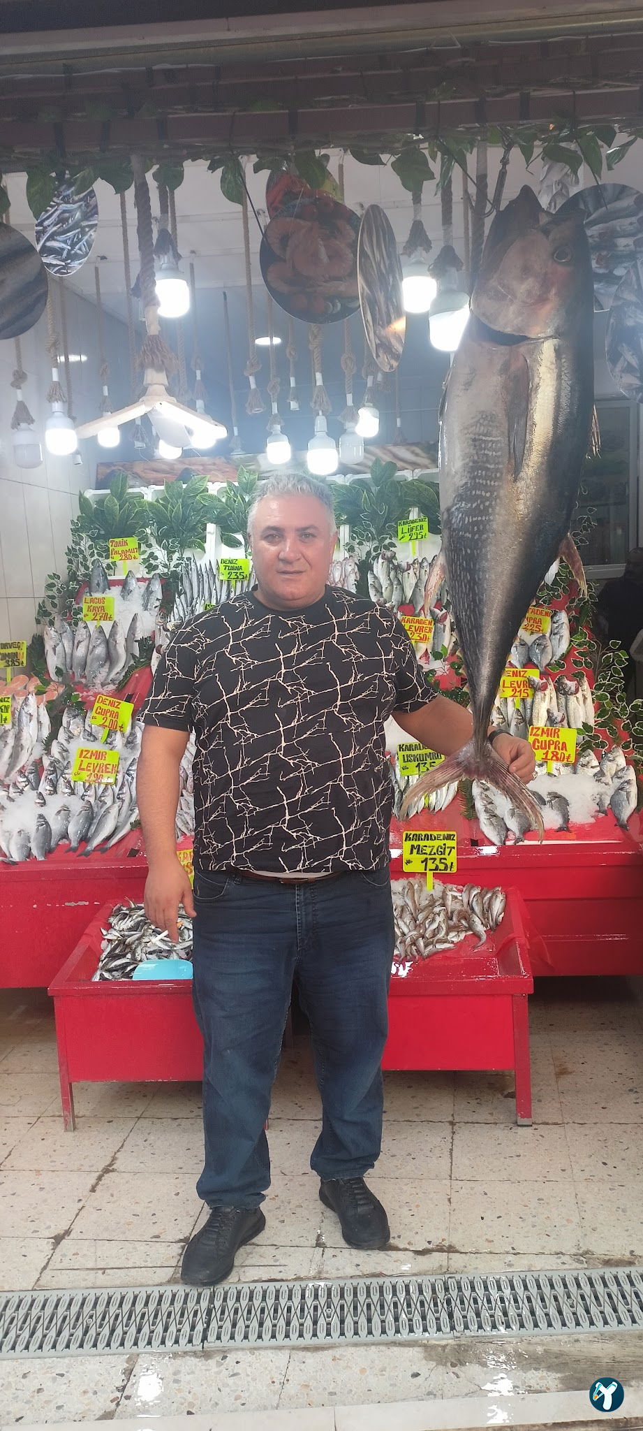 Başkent Balık Mamak