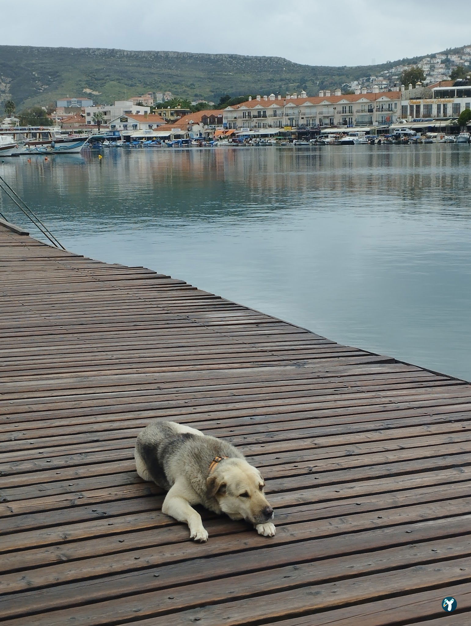 Old Foca Coast