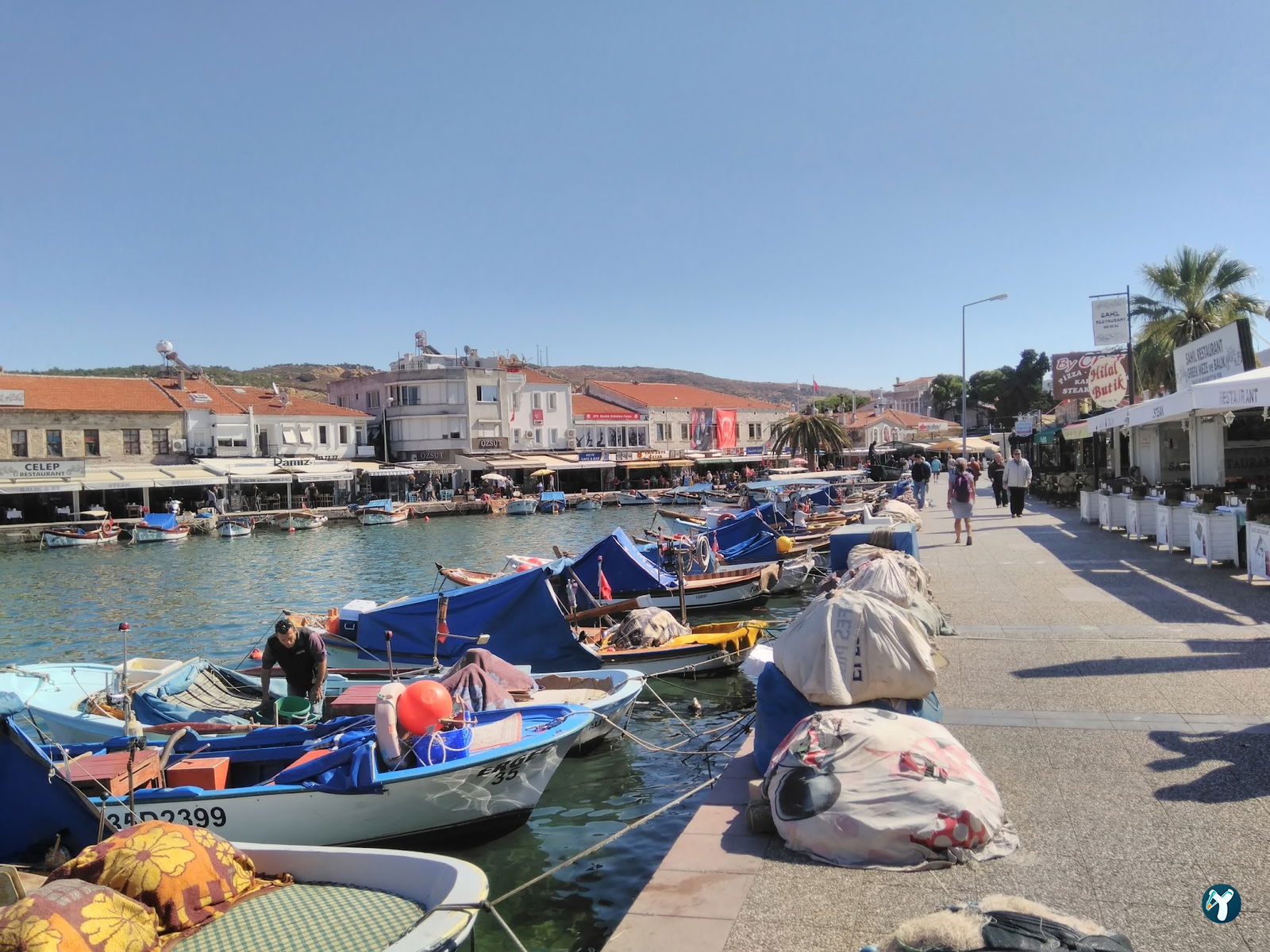 Old Foca Coast