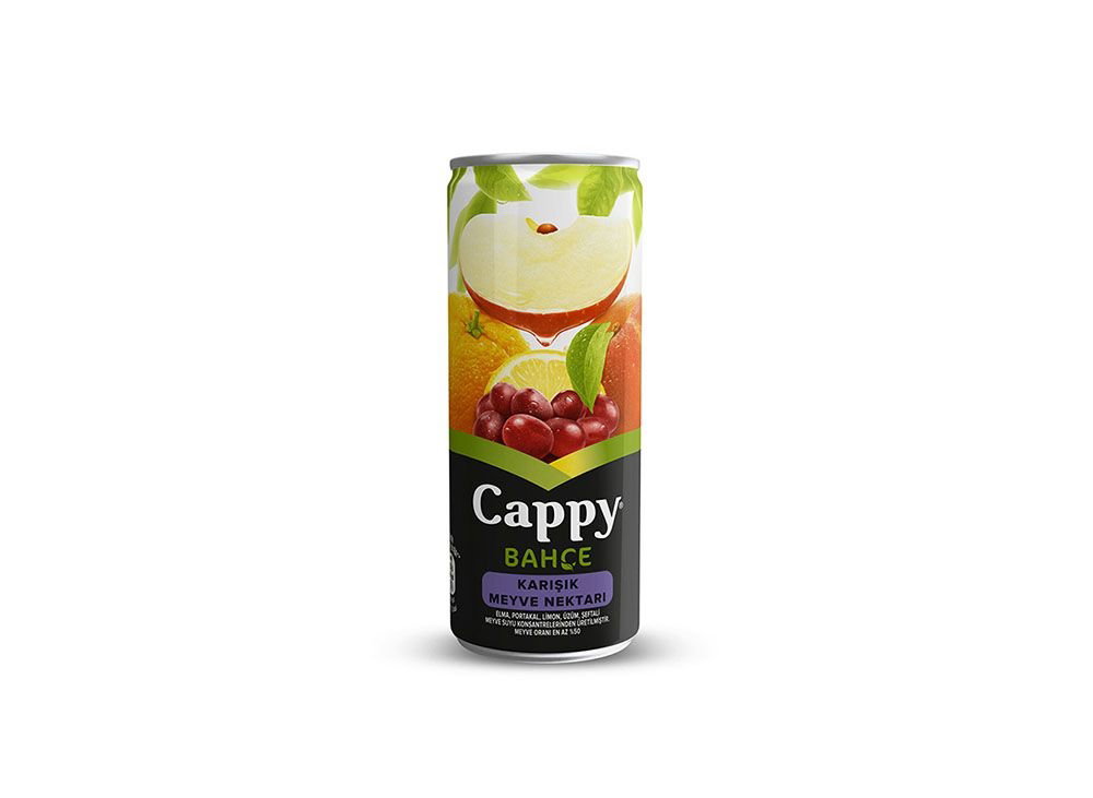 Cappy Karışık (25 cl.)