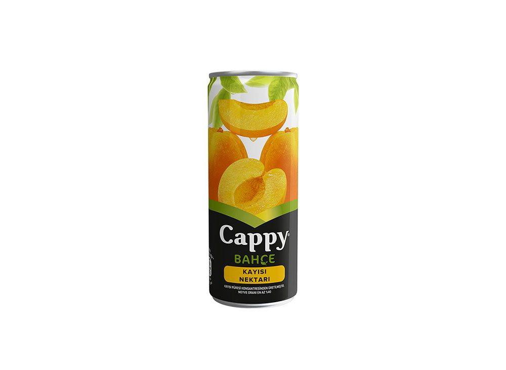 Cappy Kayısı (25 cl.)