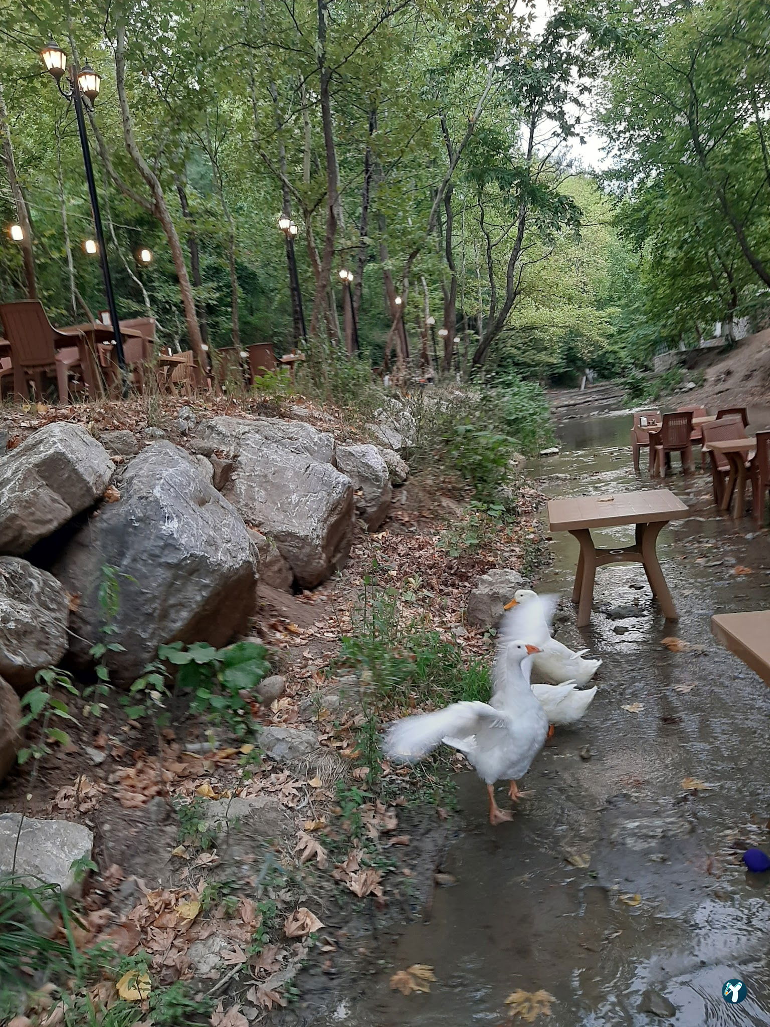 Gümüşvadi Restaurant
