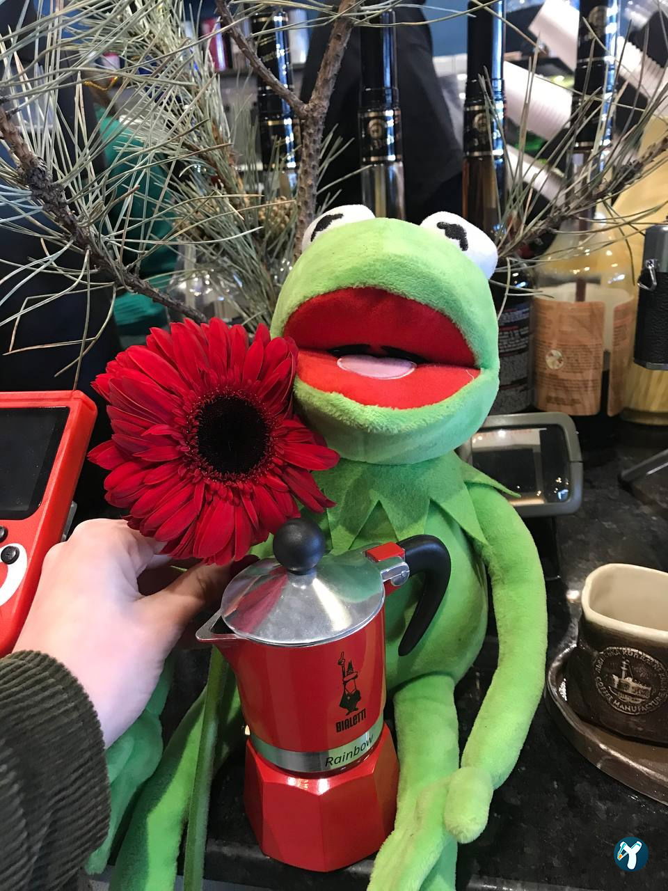 Laff Coffee