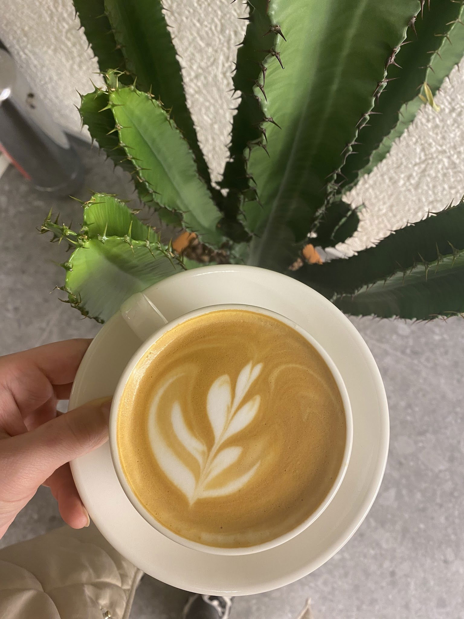 Espressolab Üsküdar Altunizade