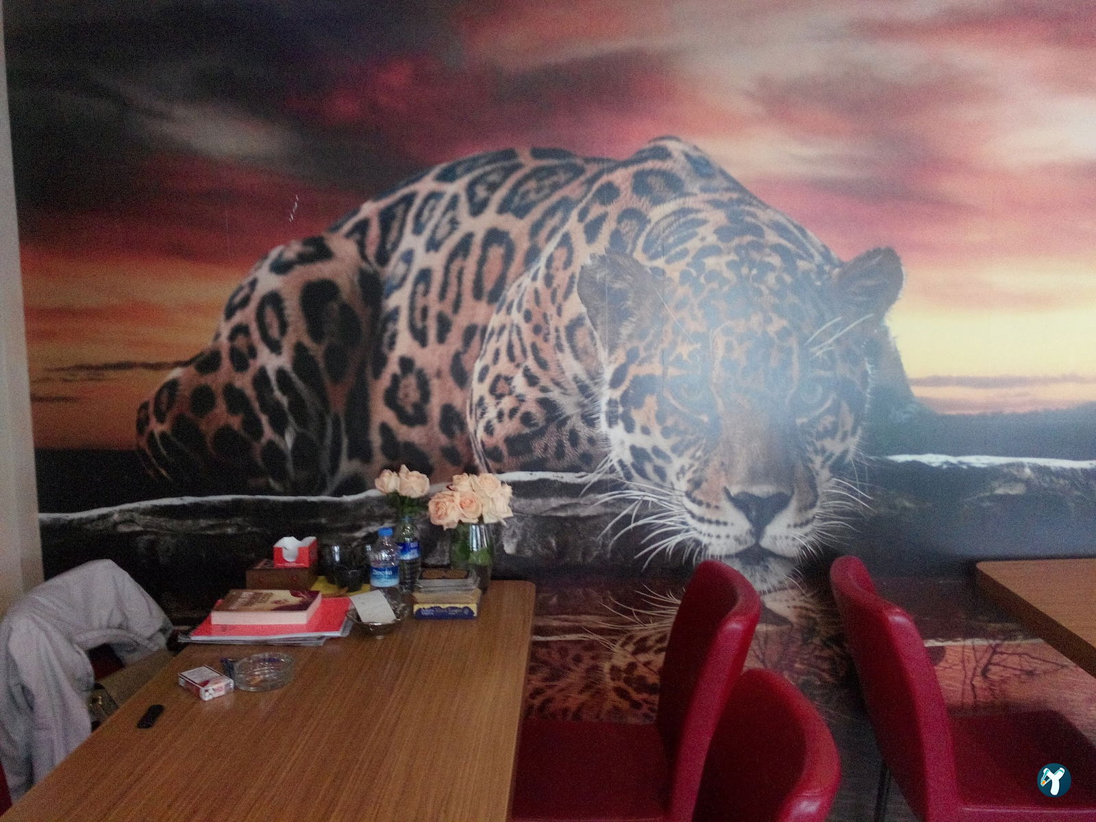 Cidan Cafe