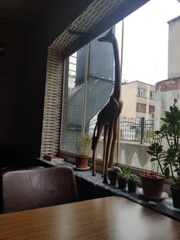 Cidan Cafe resimleri
